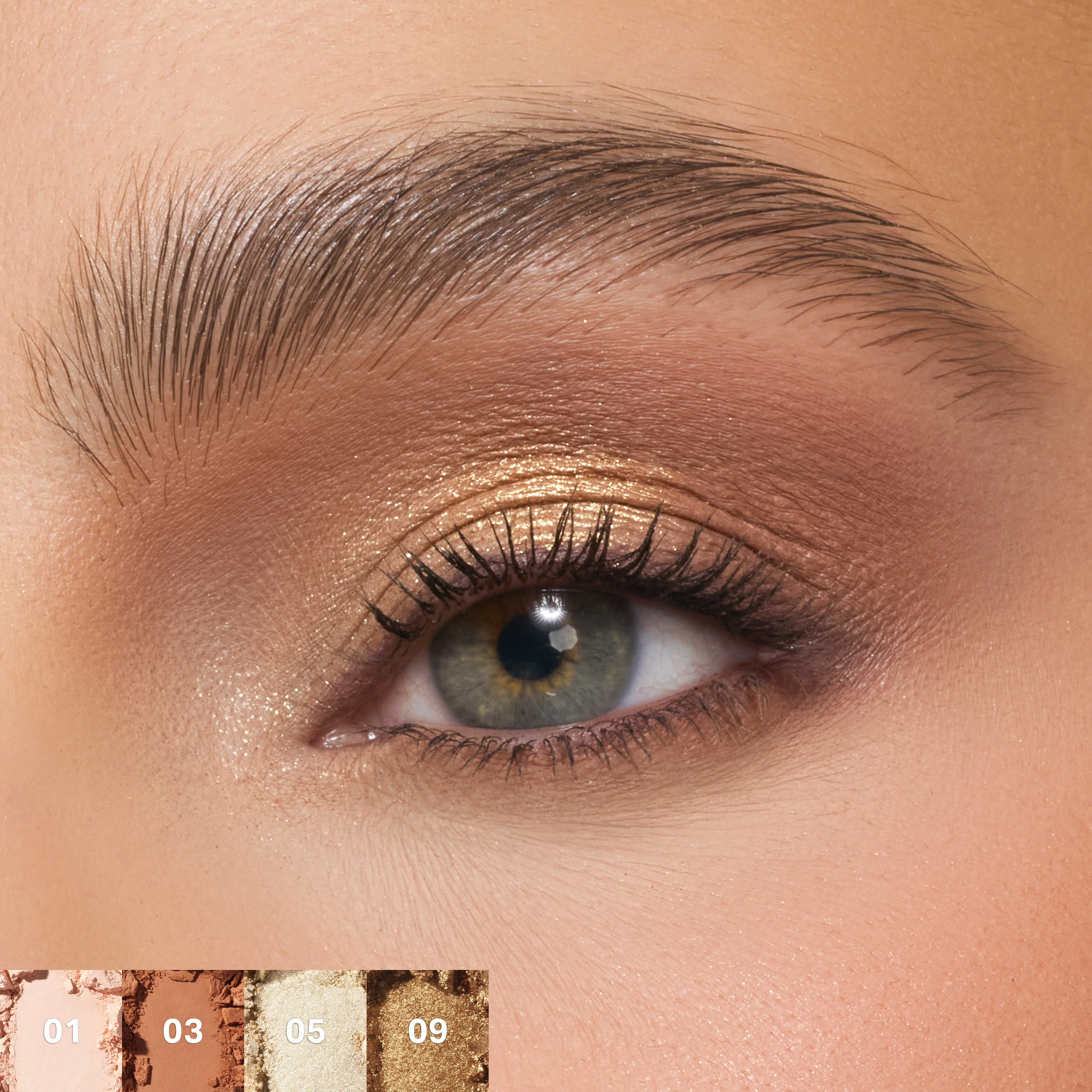 15-chromaplus-12-pan-eyeshadow-palette-15.webp ChromaPlus 12-Pan Eyeshadow Palette