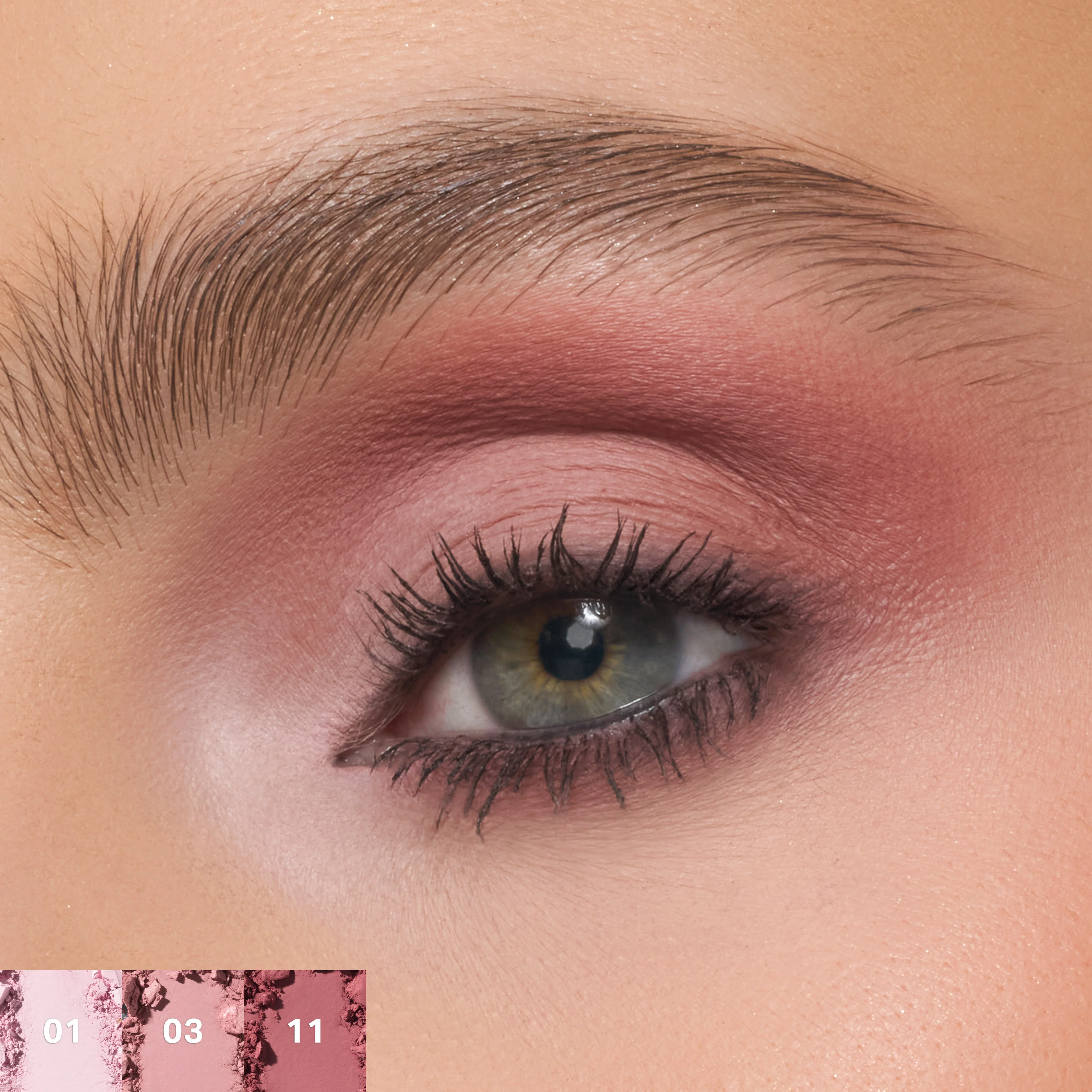 15-chromaplus-12-pan-eyeshadow-palette-19.webp ChromaPlus 12-Pan Eyeshadow Palette