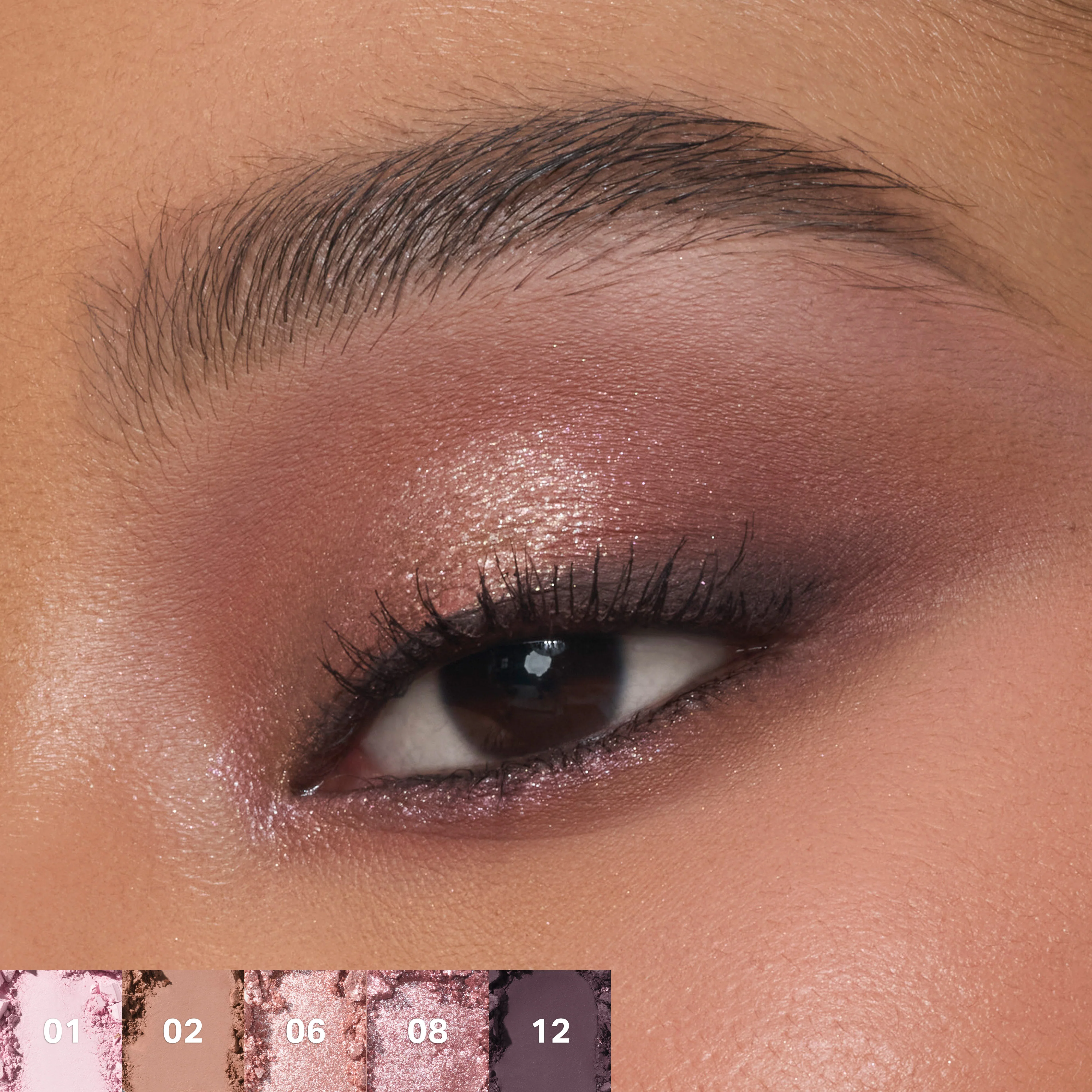 15-chromaplus-12-pan-eyeshadow-palette-20.webp ChromaPlus 12-Pan Eyeshadow Palette