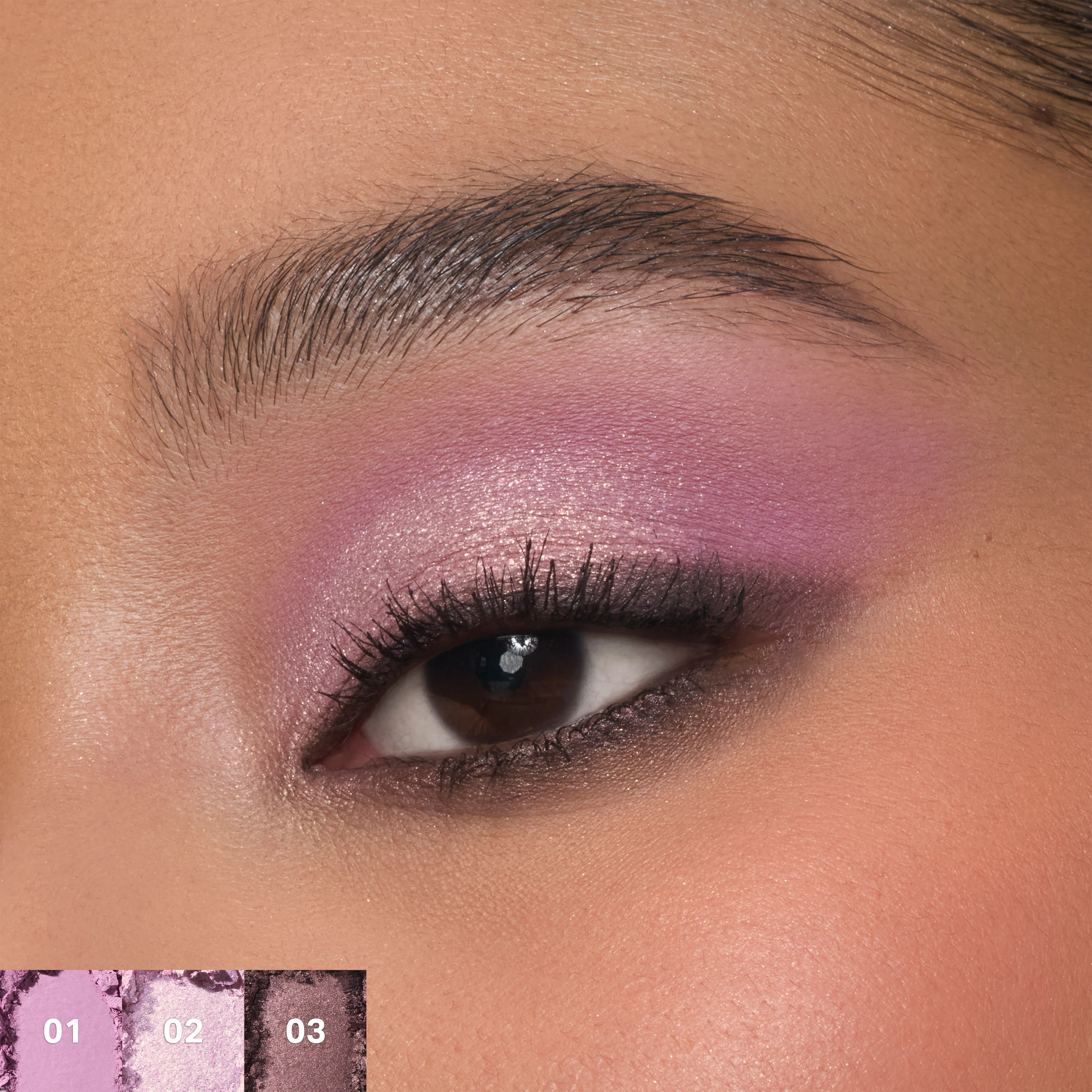 ChromaPlus 6-Pan Eyeshadow Palette
